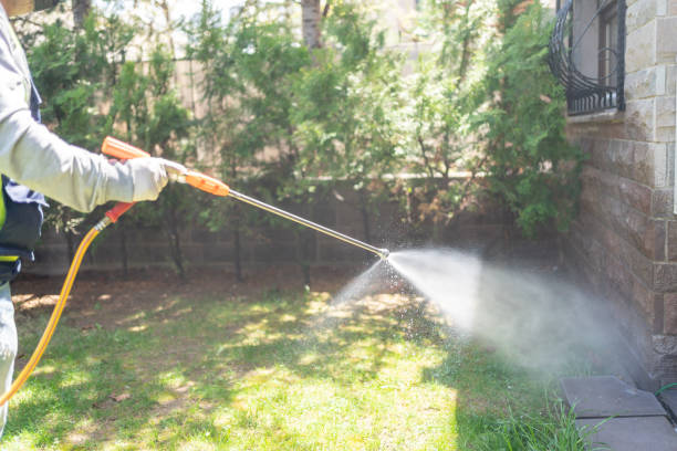 Best Residential Pest Control  in Maurice, LA